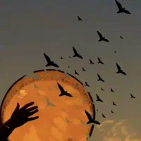 اموزش ساز دف