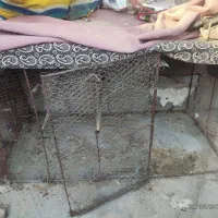 قفس مرغی