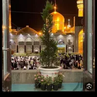 کرمان مشهدالرضا