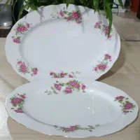 دیس و مرغ خوری