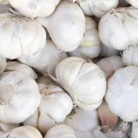 سیر تازه عشق اباد