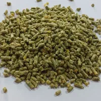 فروش ویژه پلت یونجه دار با کیفیت صادراتی