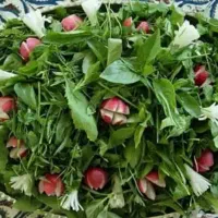 پاک و خرد کردن سبزی