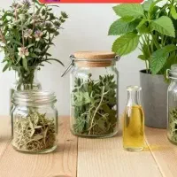 آرامش اعصاب طبیعی، بدون داروی شیمیایی