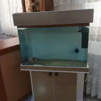 آکواریم شیشه خم 80 سانتی