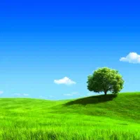 باغ-بادام-6000-متر-در-محدوده-فارس