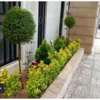 خدمات باغبانی و درختکار سمپاشی در تمام نقاط تهران