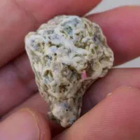 مهره زوعه