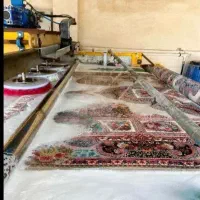 قالیشویی طلایی قالی شویی شاندیز