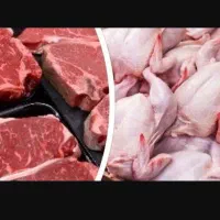 گوشت مرغ میگو ماهی و....ارسال به سراسراستان واطراف