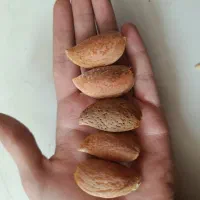 بادام درشت بدون پوست و با پوست