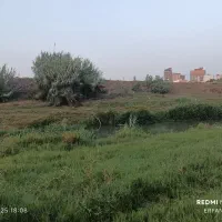 نیازمند کارگر ساده برای جمع کردن میوه وکارکشاورزی