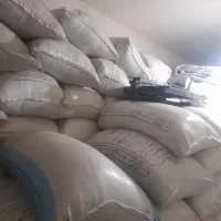 جو محلی