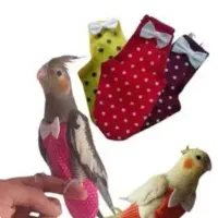 پوشک‌عروس‌هلندی‌وکرینچیگ‌