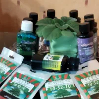کودرشدوگلدهی گیاهان
