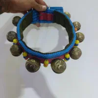 قورچه یا قلاده سگ