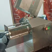 بیفتک زن الکتروکار