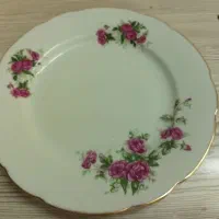 گل سرخی