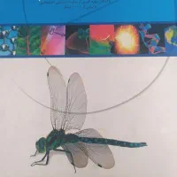 کتاب دایرةالمعارف علوم