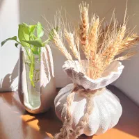 گلدان پرنسسی گلدان یو