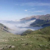 نیازمند کارگر ساده
