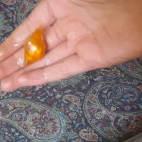 ماهی های زیبا