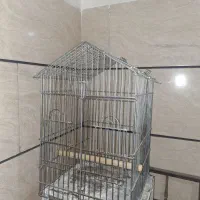 قفس پرنده