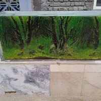 آکواریوم سالم
