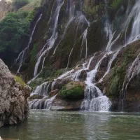 برای زندگی