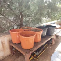 گلدان پلاستیکی بزرگ