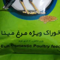غذای مرغ مینا