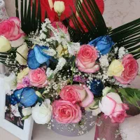 گل طبیعی دیروز آوردن