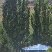 اجاره-ویلا-1800-متری-تخته-کوهسار-AMLAK-ARIYANA