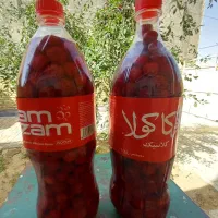 ترشی البالو