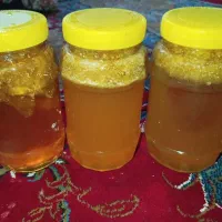 عسل صدرصد طبیعی
