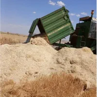 فقط خرید کاه