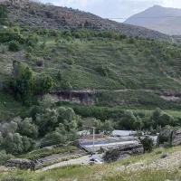 اجاره-زمین-کشاورزی-باچاه-شخصی-روستای-مورچگان