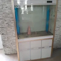 آکواریوم خارجی