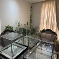 باکس بله برون تمام آینه