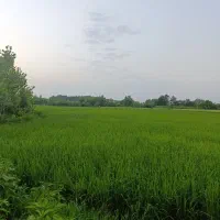 زمین و خانه کلنگی