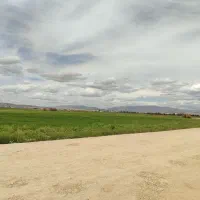 زمین-شاپورجان