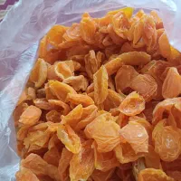 زردآلو تمیز وخوشمزه