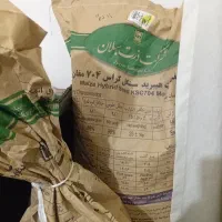 ۷۰۴ تاریخ ۴۰۳