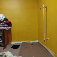 رنگ آمیز حرفه ای