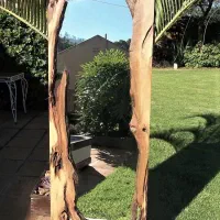 آینه روستیک  دفرمه