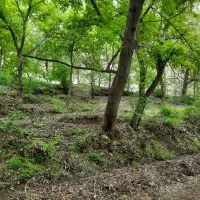 زمین800-متر-در-کردان-روستای-سیباندره