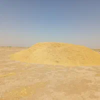 کاه