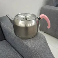 کتری  استیل کف چدن