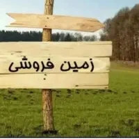 زمین-فروشی-امیرکبیر