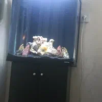 اکواریوم شیشه خم شرکتی